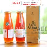  Chai Thủy Tinh Tròn Nắp Thiết | Tùy Chọn Dung Tích 