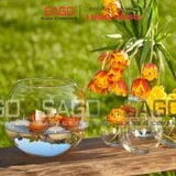  Pasabahce 43427 - Chậu Hoa Thủy Tinh Tròn Pasabahce Botanica Cao 12cm | Nhập Khẩu Thổ Nhĩ Kỳ 