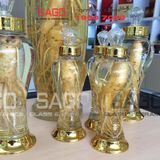  PH 5.0 - Bình Sâm Phú Hòa 5.0 Lít | Bình Sâm Cao Cấp Việt Nam 