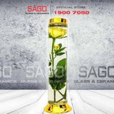  PH 1.18 - Binh Sâm Trụ Phú Hòa 1.18 Lít | Bình Sâm Cao Cấp Việt Nam 