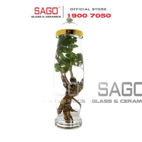  YONGCHEON NO9 - Bình Sâm Hàn Quốc Yongcheon 14.0 Lít  | Bình Số 09 , Bình Sâm Cao Cấp Hàn Quốc 