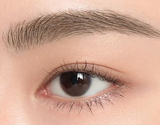 Mascara Mày 3CE All- Rounder Brow 3 In 1