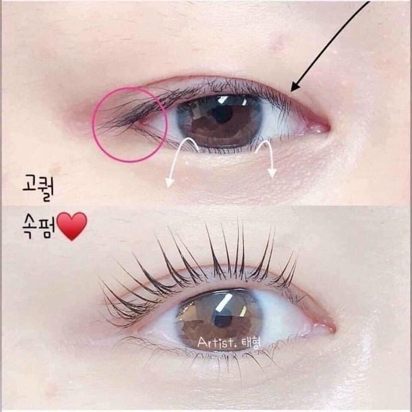 Bấm Mi The Face Shop Premium Eyelash Curler