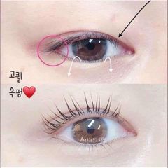 Bấm Mi The Face Shop Premium Eyelash Curler