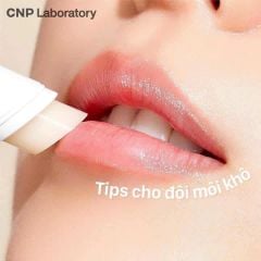 Son Dưỡng Môi Keo Ong CNP Propolis Derma Moisture Lip Balm 4g