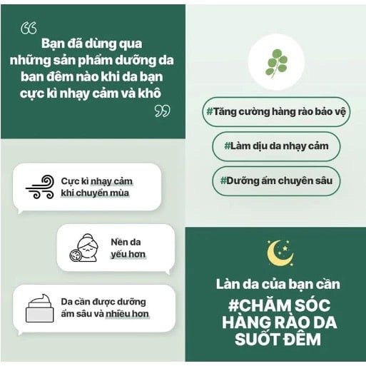 Mặt nạ ngủ mặt - dưỡng ẩm cica laneige sleeping mask  10ml