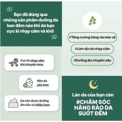 Mặt nạ ngủ mặt - dưỡng ẩm cica laneige sleeping mask  10ml