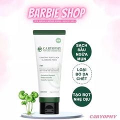 Sữa Rửa Mặt Ngăn Ngừa Mụn Giảm Thâm Caryophy Portulaca Cleansing Foam 150ml