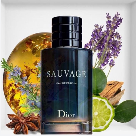 Dior Sauvage Eau de parfum Tammys Boutique