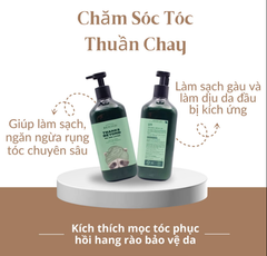 Dầu gội Ngăn Ngừa Rụng Tóc Beyond Healing Force Scalp Clinic Shampoo 1000ml