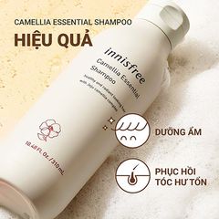 Dầu Gội + Dầu Xả + Ủ Tóc Innisfree Green Tea Fresh Shampoo