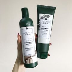 Set Gội - Xả Gừng Weilaiya GINGER (400ml x 250ml)