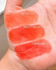 Son Thỏi 3CE Blur Matte Lipstick - Salty Cinnamon-Apricot Filter-In The Fog-Unknown Way-Newtro Wave-Peanut-Rosiness-Misty Day-Mauve Drizzle-Pure Layer-After Lazy- Breezy Melody- Tangerine