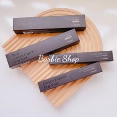 Chì Che Khuyết Điểm THE SAEM Cover Perfection Concealer Pencil