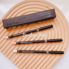 Chì Che Khuyết Điểm THE SAEM Cover Perfection Concealer Pencil