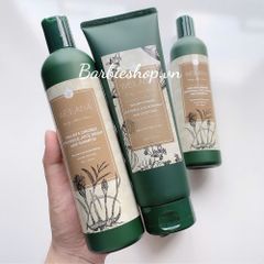 Set Gội - Xả Gừng Weilaiya GINGER (400ml x 250ml)