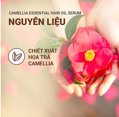 Dầu Dưỡng Tóc Hoa Trà Innisfree Camellia Essential Hair Oil Serum 100ml