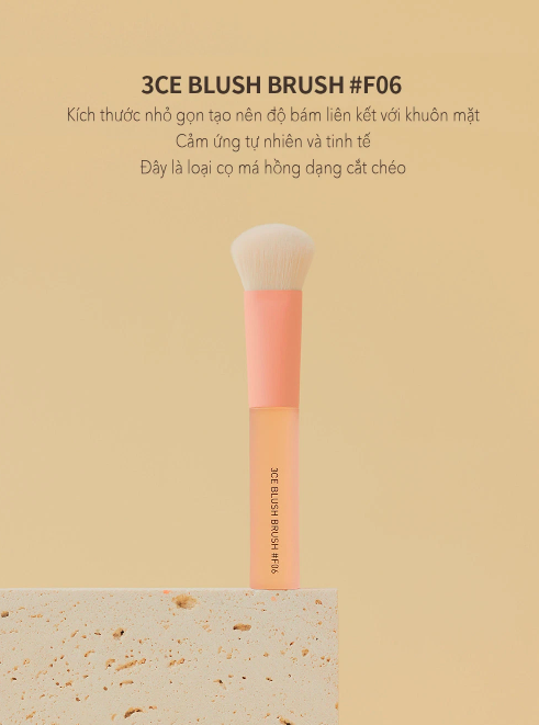 Cọ 3CE PINK BEIGE BLUSH BRUSH #F06