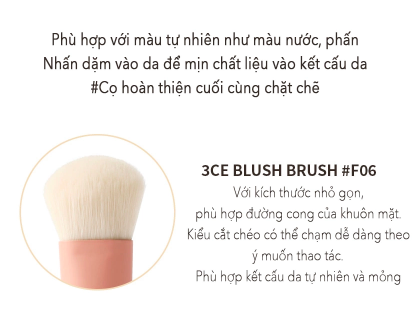 Cọ 3CE PINK BEIGE BLUSH BRUSH #F06