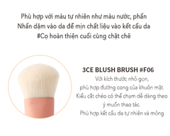 Cọ 3CE PINK BEIGE BLUSH BRUSH #F06