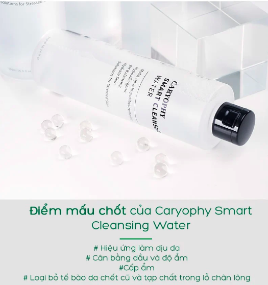 Nước Tẩy Trang Cho Da Dầu Mụn Caryophy Smart Cleansing Water 300ml 500ml