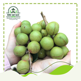  Hạt macca sấy nứt vỏ Daklak (Macadamia) - Nông sản sạch Daklak 