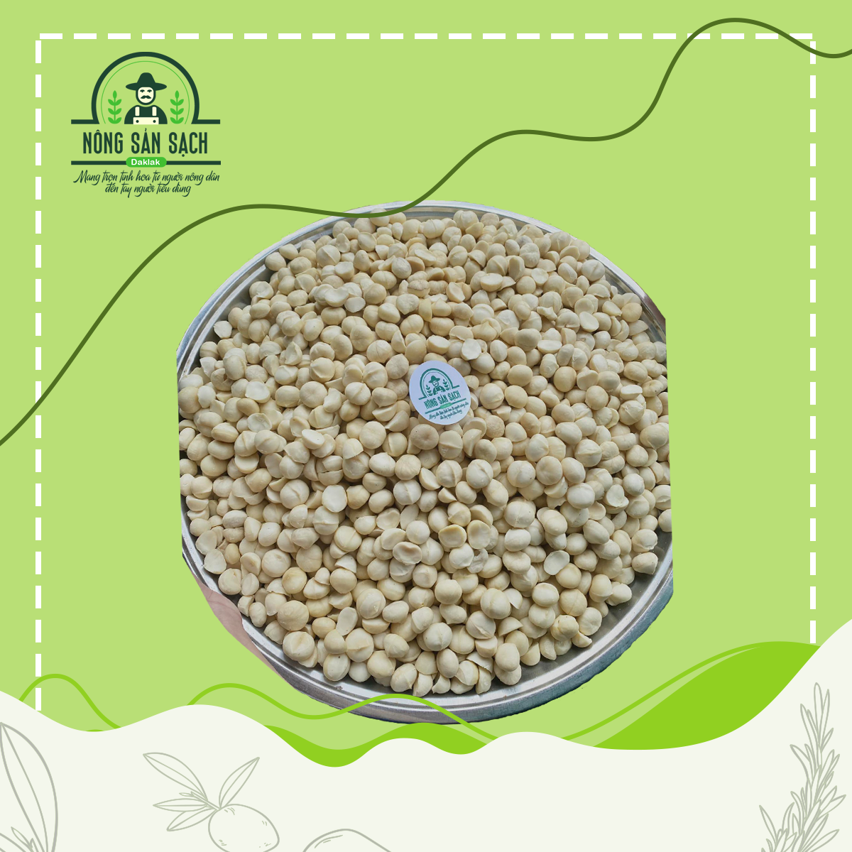  Macca Nhân XÔ - Nông Sản Đăk Lăk 