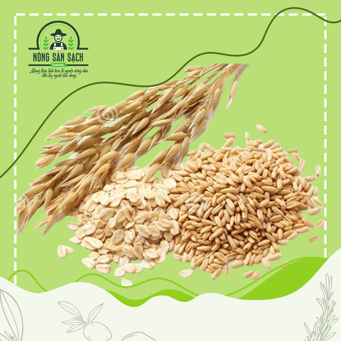  Yến mạch cán dẹt Hafer flocken - Nông sản sạch Daklak 