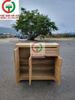 TỦ GỖ GIÀY DÉP 3 CÁNH
