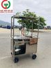 TỦ BÁN HÀNG INOX- BÁN BÚN MÌ- PHỞ..