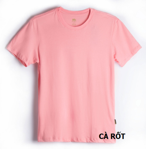 ÁO THUN NỮ CÀ RỐT M24