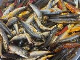  Cá Nục O Mộc 