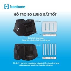 Đai Lưng Cột Sống Pro Hard Slim Nâng Đỡ Cột Sống, Hỗ Trợ Điều Trị Đau Lưng