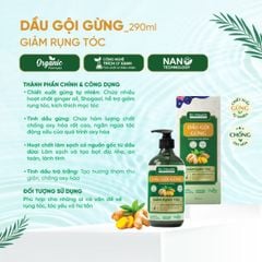 Dầu Gội Gừng Biohealth Giảm Rụng Tóc 290ml