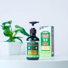 Dầu Gội Bồ Hòn Biohealth Giảm Nấm Da Đầu 290ml