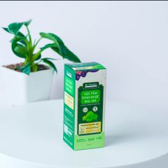 Gel Tắm Thảo Dược Rau Má Biohealth Ngăn Ngừa Rôm Sẩy 290ml