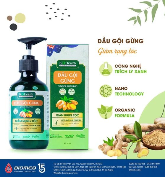 Dầu Gội Gừng Biohealth Giảm Rụng Tóc 290ml