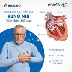 Máy Đo Huyết Áp Điện Tử Bắp Tay Microlffe A5 (BP 3GC-5F) - Công Nghệ AFIB Cảnh Báo Rung Nhĩ, Phòng Đột Quỵ