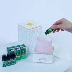 Tinh Dầu Xông Trị Liệu BioHealth Hỗ Trợ Giải Cảm Giảm Căng Thẳng 10ml