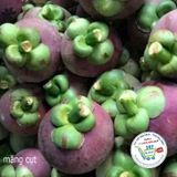  Măng cụt Columbia° 