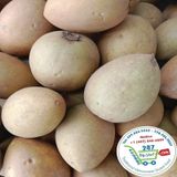  Sapoche ( Hồng xiêm)* 