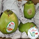  Dừa tươi 