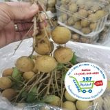  Nhãn Tiêu* 