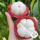  Măng cụt Columbia° 