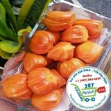  Mít ruột đỏ INDO* 