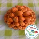  Mít ruột đỏ INDO* 