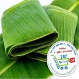  Lá chuối tươi 