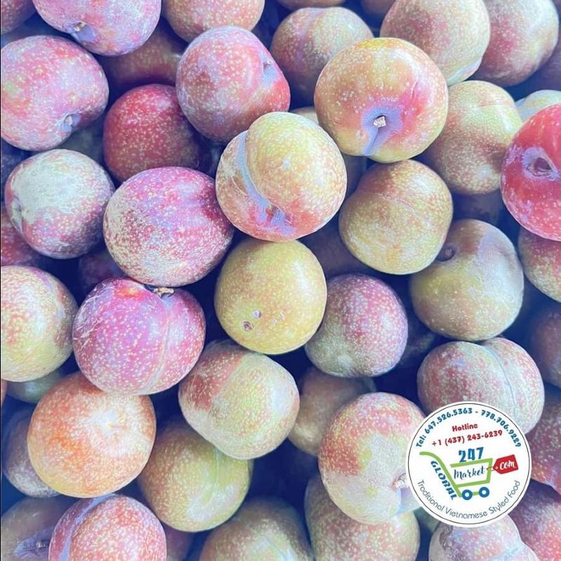  Mận hà nội* 