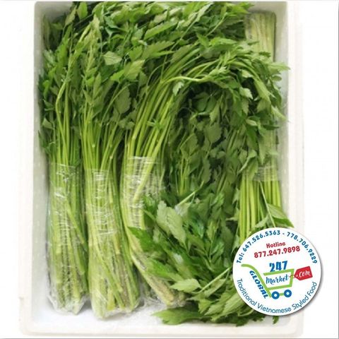  Cần nước tươi 