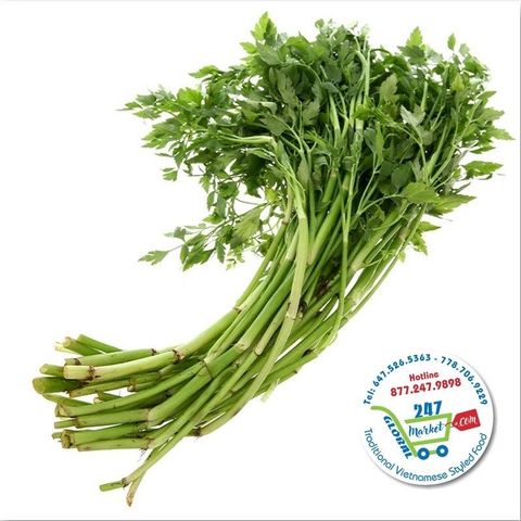  Cần nước tươi 